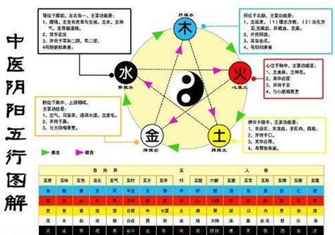 金生水個性|揭祕：金為什麼生水？五行相生相剋的奧祕大公開！ 